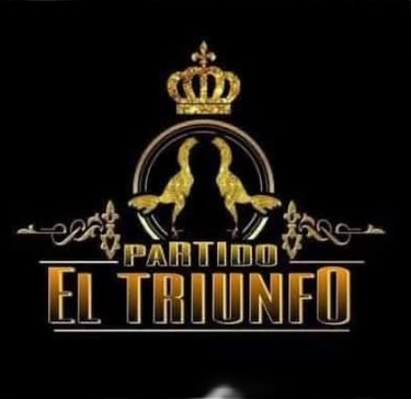 Partido El Triunfo logo