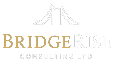 BridgeRise Consulting Ltd logo