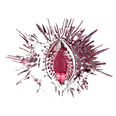Flesh & Lilis logo