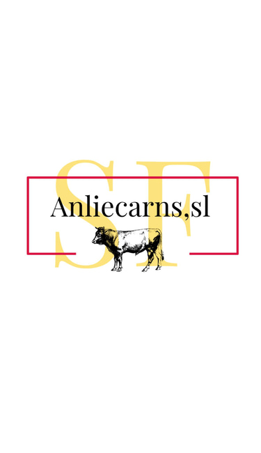 Anliecarns logo