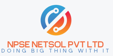 NPSE NETSOL PVT LTD logo