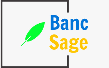 BancSage logo