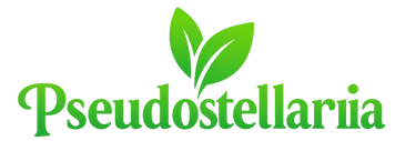 aizishen supplier logo