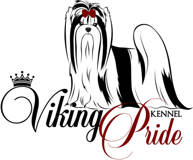 Viking Pride logo