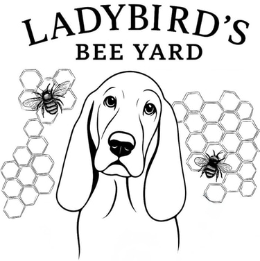 Ladybird's Bee Yard logo