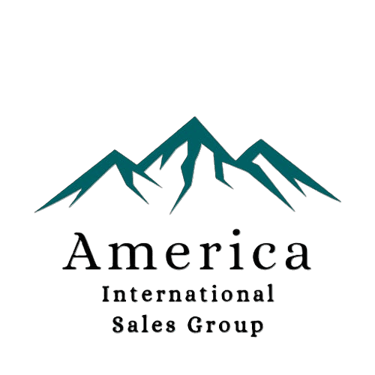 AMERICA INTERNATIONAL SALES GROUP logo