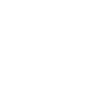 SIDE OF SPARKLES logo