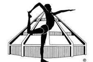 Anastasio yoga iyengar logo