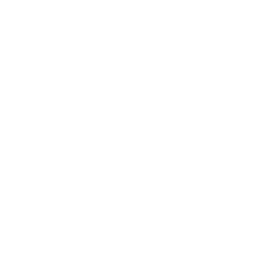 SIELVANSSA logo