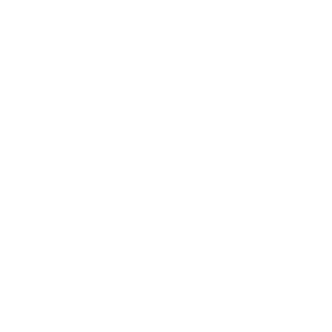 Lara Natural Cosmetic logo