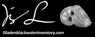 Siladen Blackwater Inventory logo