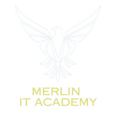 Merlin IT Academy logo