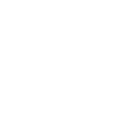 ANYER CO. logo