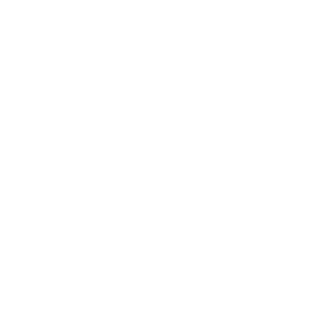 LIGA ACADEMY XMC logo