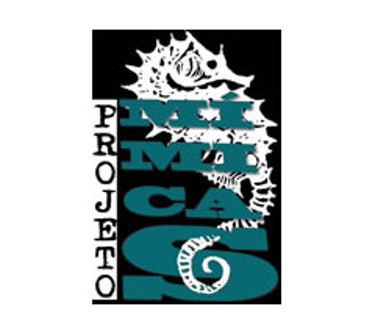 Projeto Mímicas logo