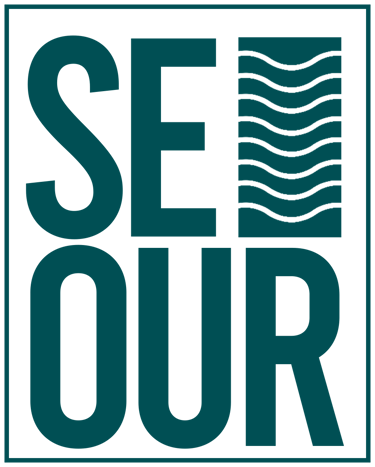 Seour Exim Pvt Ltd logo