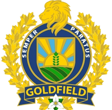 goldfieldsecurityagency logo