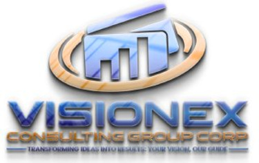Visionex Consulting logo