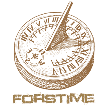 FORSTIME SAS logo