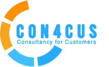 Conforcus Bilişim Danışmanlık A.Ş. - SAP Enflasyon Muhasebesi Çözümü logo