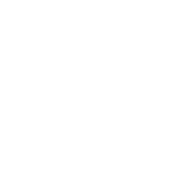 symmetry fight club logo