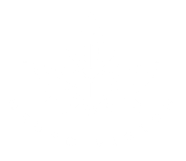Neuro Vision logo