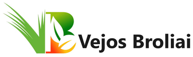 Vejos Broliai logo