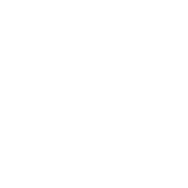 Vivantis Web Developer logo