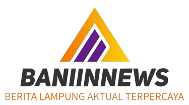 Baniinnews logo