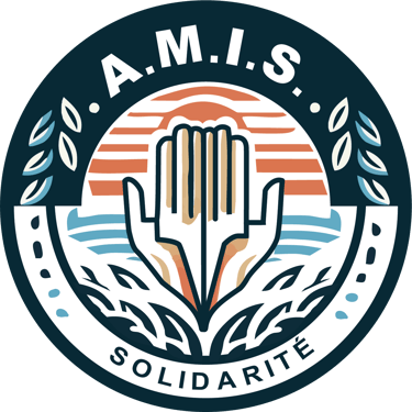 amis logo