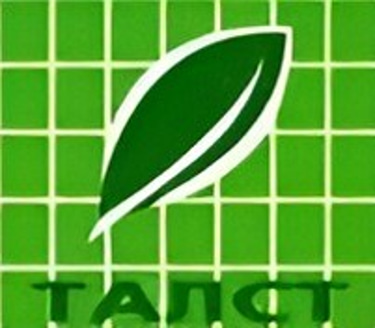 Talstgroup logo