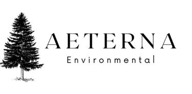 Aeterna Environmental logo