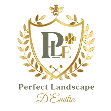 PERFECT LANDSCAPE D'EMILIO logo
