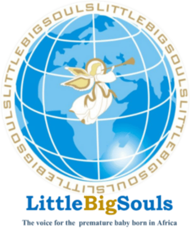 littlebigsoulsghana.com logo