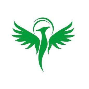 Zakidir Travel logo