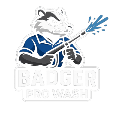 Badger Pro Wash logo