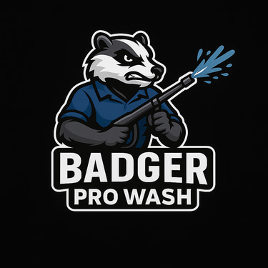 Badger Pro Wash logo
