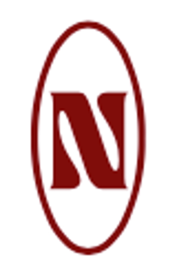 Nueva Aesthetic logo