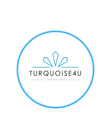 Turquoise4u logo