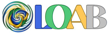 LOAB Solutions logo