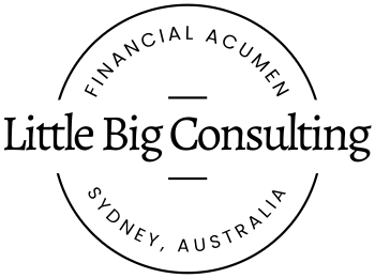 LITTLE BIG CONSULTING logo