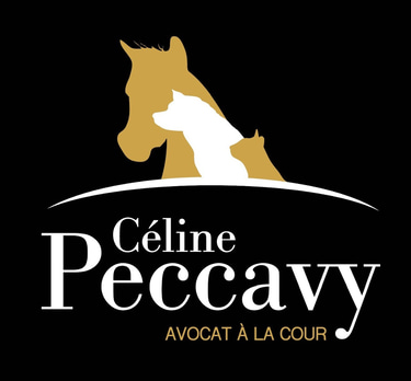 Céline Peccavy Avocat logo