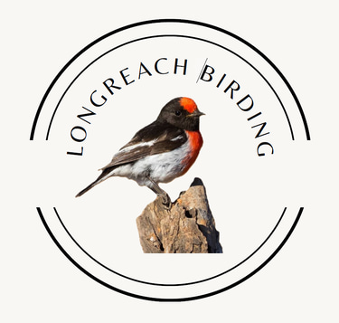 Longreach Birding Tours logo