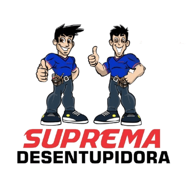 Desentupidora Moema logo