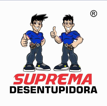 Desentupidora em Moema logo