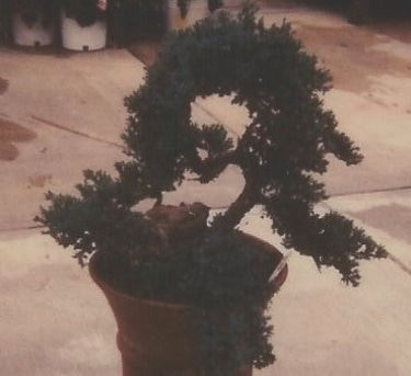 Landscape Consultation logo