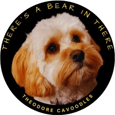 There's a Bear in There logo