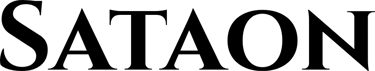 Consultoría Web Sataon: ¡ Transforma tu negocio ! logo