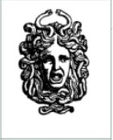 MEDUSA GEO-CONSULTING LLC logo