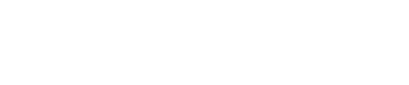 ERP Netgera logo
